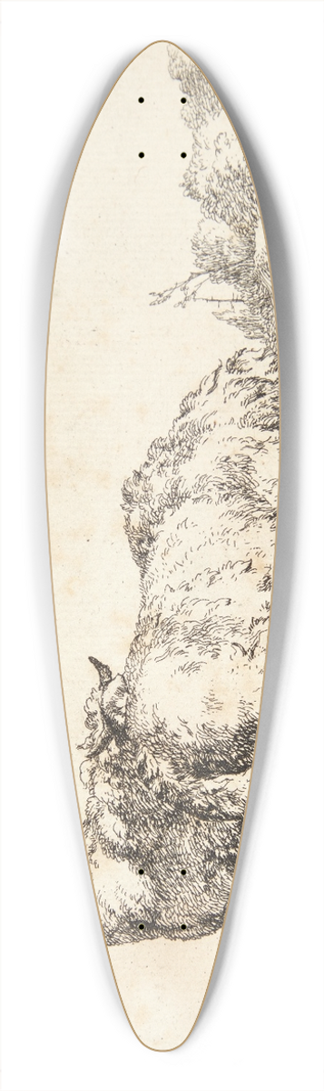 Marcus de Bye - Grssende fr, vendt mod hjre 39.3 inch art pintail longboard deck