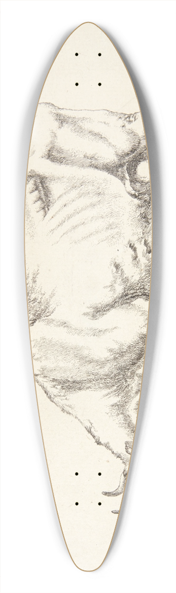 Marcus de Bye - Grssende ko 39.3 inch art pintail longboard deck