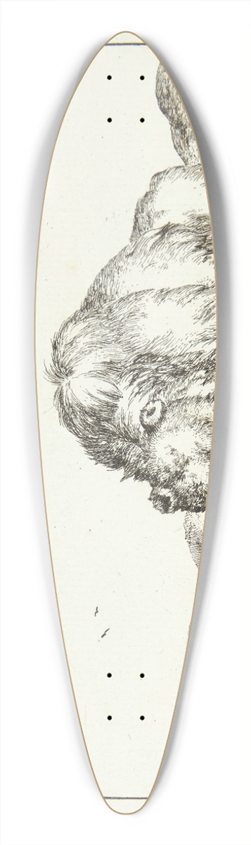 Marcus de Bye - Siddende bjrn, set forfra 39.3 inch art pintail longboard deck