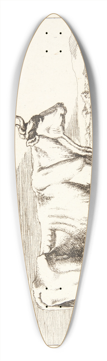 Marcus de Bye - Stende ko, vendt mod hjre 39.3 inch art pintail longboard deck