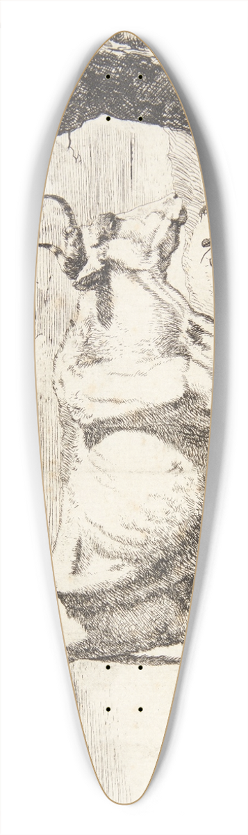 Marcus de Bye - Stende ko, vendt mod hjre 39.3 inch art pintail longboard deck