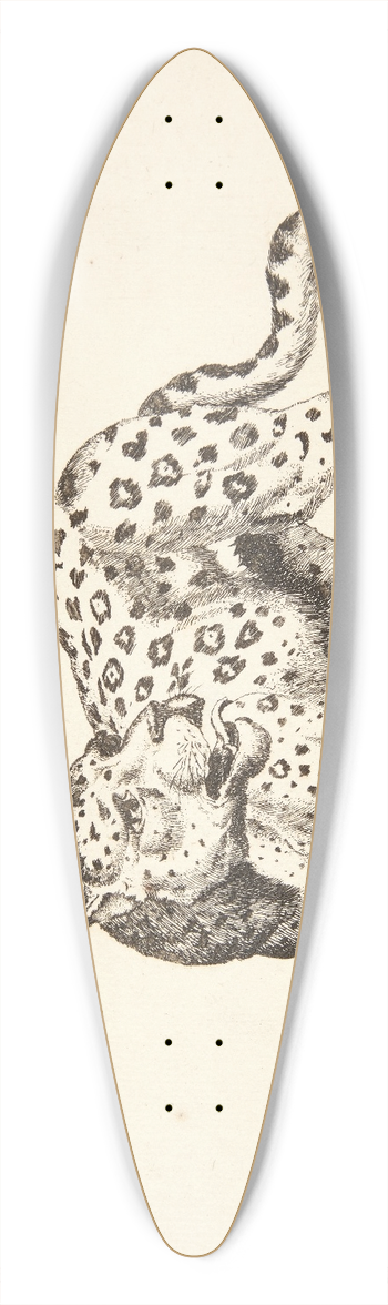 Marcus de Bye - Stende leopard 39.3 inch art pintail longboard deck
