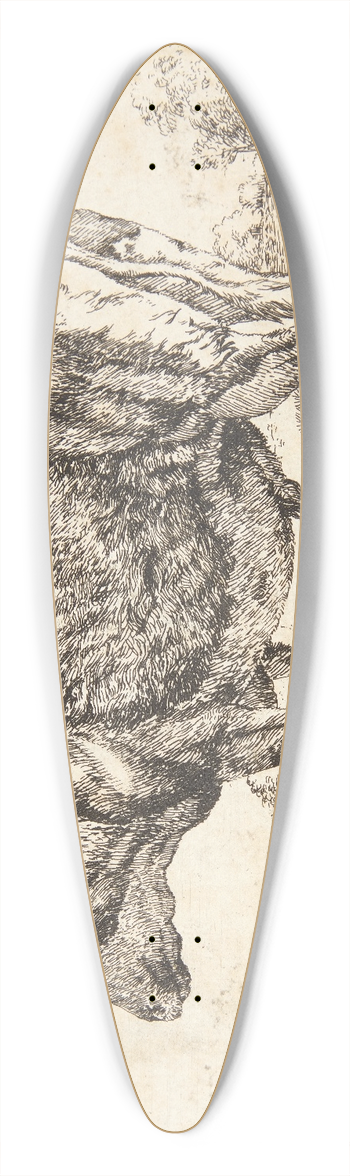 Marcus de Bye - Stende stud 39.3 inch art pintail longboard deck