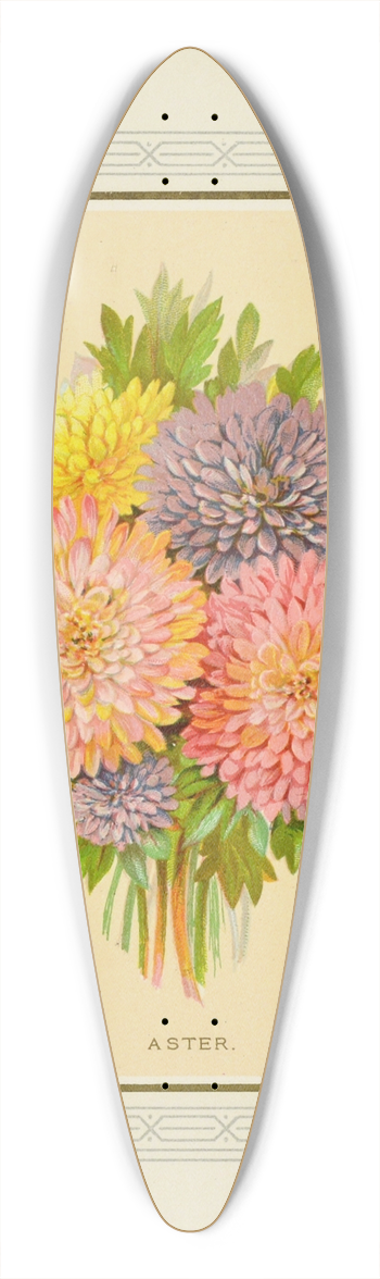 Marcus Ward & Co - Aster 39.3 inch art pintail longboard deck