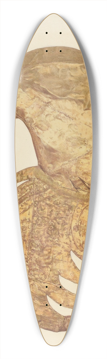Marian Page - Weather Vane  Rooster 39.3 inch art pintail longboard deck