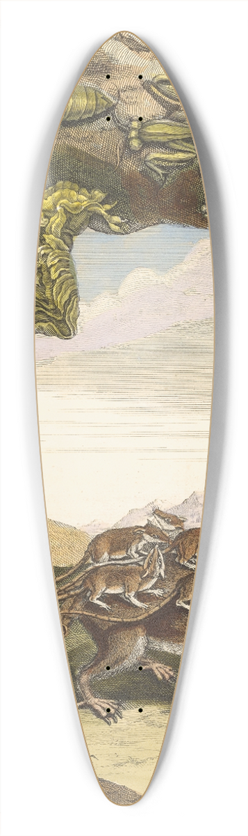 Maria Sibylla Merian - Rat de forest 39.3 inch art pintail longboard deck