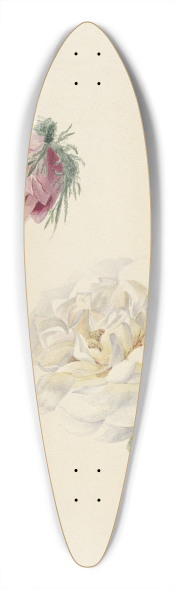 Marie Louise Praetorius - Studies van een roze en een witte roos 39.3 inch art pintail longboard deck