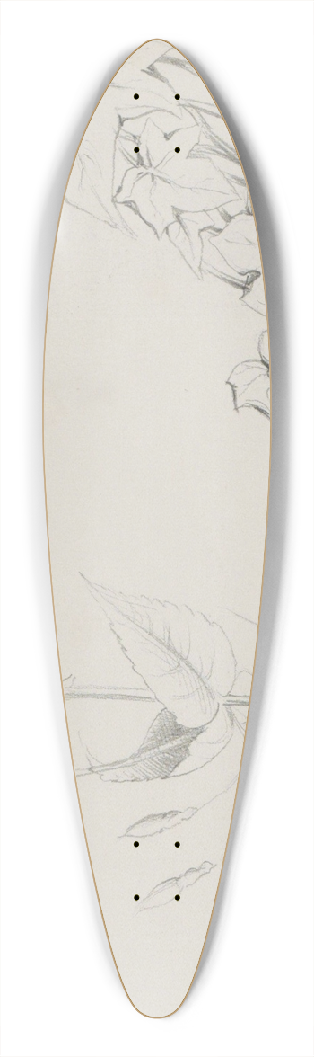 Marius Bauer - Klimop en een bloemknop 39.3 inch art pintail longboard deck