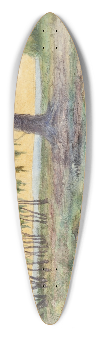 Martn Malharro - Paisaje 39.3 inch art pintail longboard deck