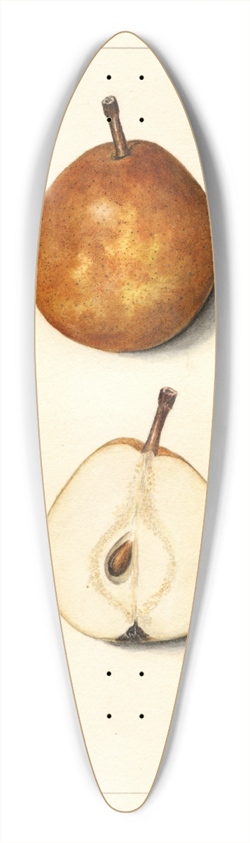 Mary Daisy Arnold - Pyrus communis: Lamartine 39.3 inch art pintail longboard deck