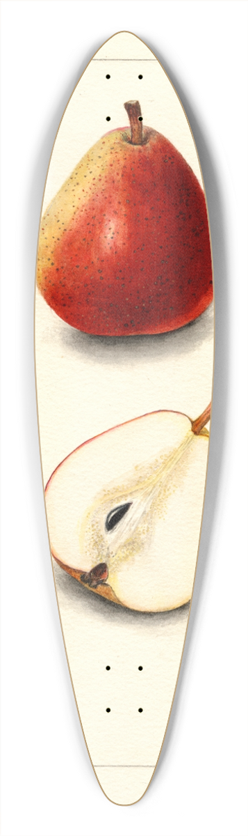 Mary Daisy Arnold - Pyrus communis: Wilder 39.3 inch art pintail longboard deck
