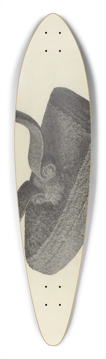 Maurice Van Felix - Flatiron 39.3 inch art pintail longboard deck
