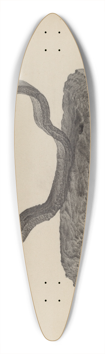 Maurice Van Felix - Flatiron 39.3 inch art pintail longboard deck