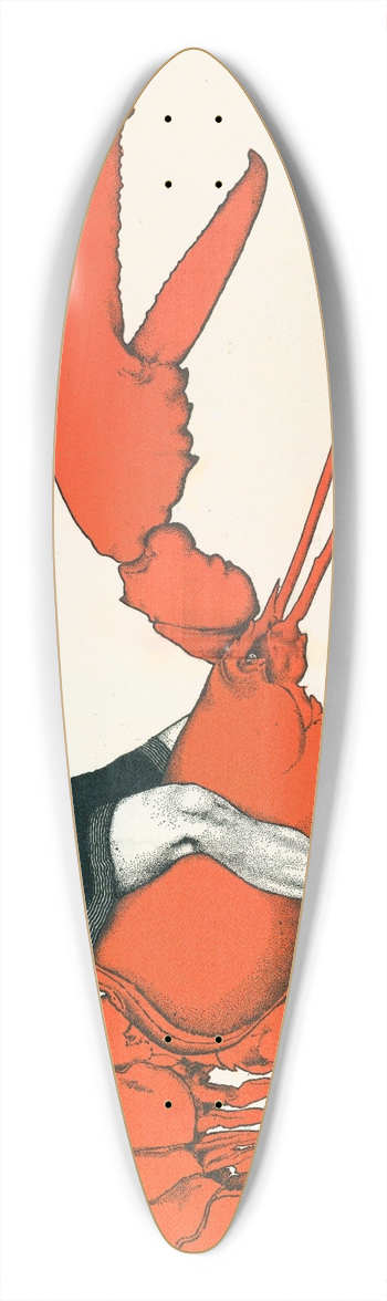 Maxfield Parrish - Back Cover 39.3 inch art pintail longboard deck