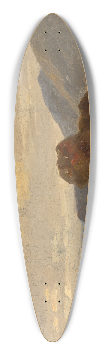Max Weyl - Landscape 39.3 inch art pintail longboard deck