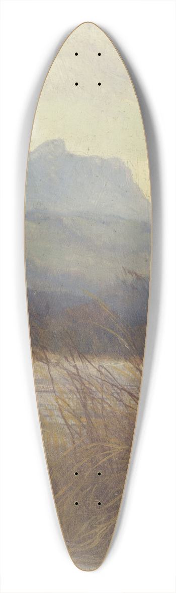 Michael Licklederer - Simsee mit Heuberg 39.3 inch art pintail longboard deck