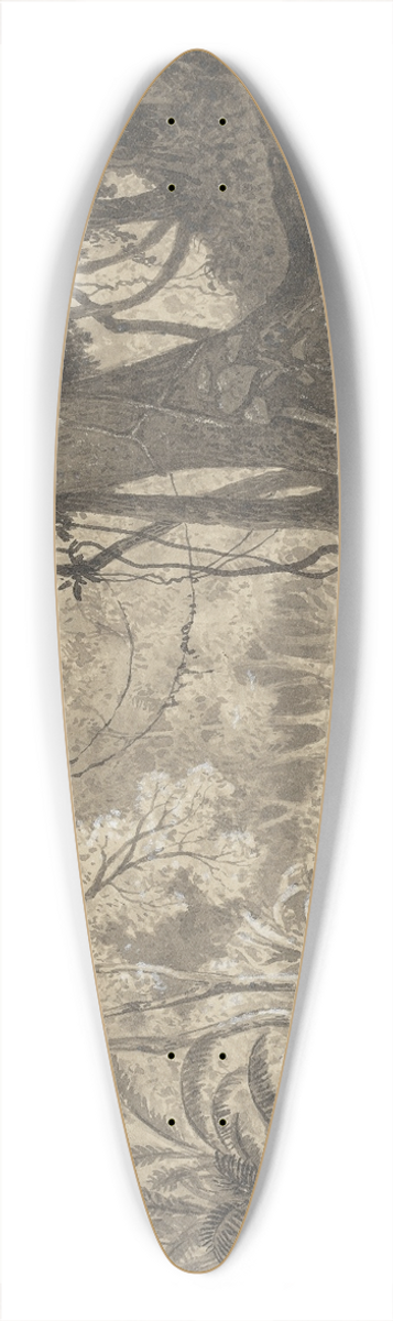 Michel Jean Cazabon - Forest Scenery near Tamana 39.3 inch art pintail longboard deck