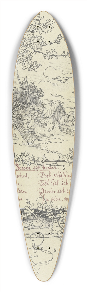 Minna Roberth - Besser ist besser 39.3 inch art pintail longboard deck