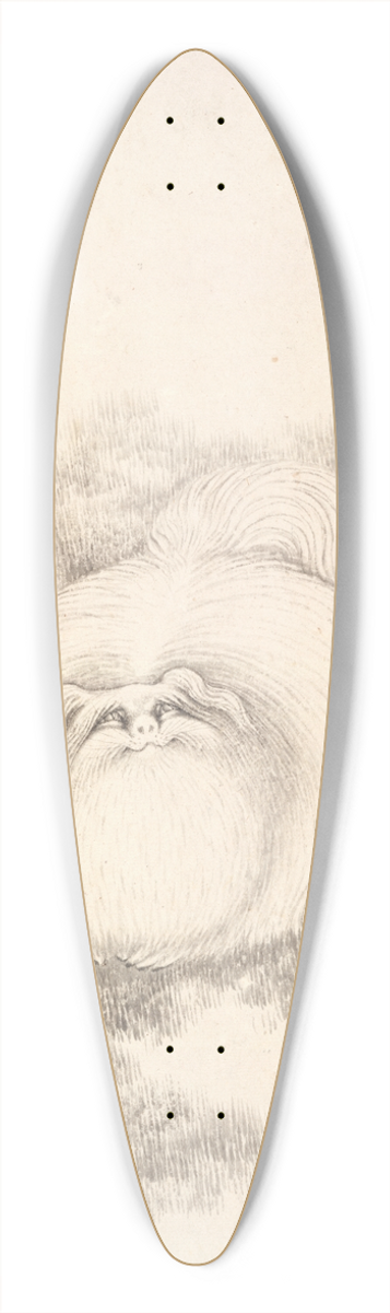Min Zhen - Cat and Butterfly 39.3 inch art pintail longboard deck