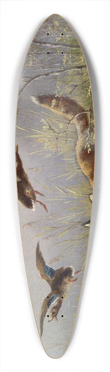 Moritz Mller - Fox Chasing Ducks 39.3 inch art pintail longboard deck