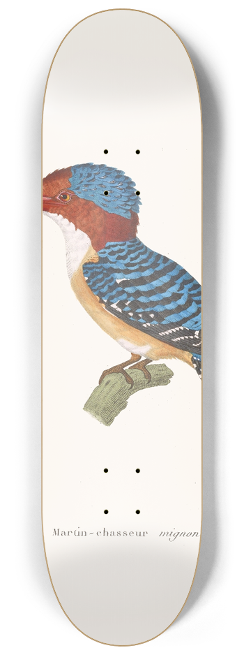 Coenraad Jacob Temminck - Martin-Chasseur Mignon 8.25 inch art skate deck