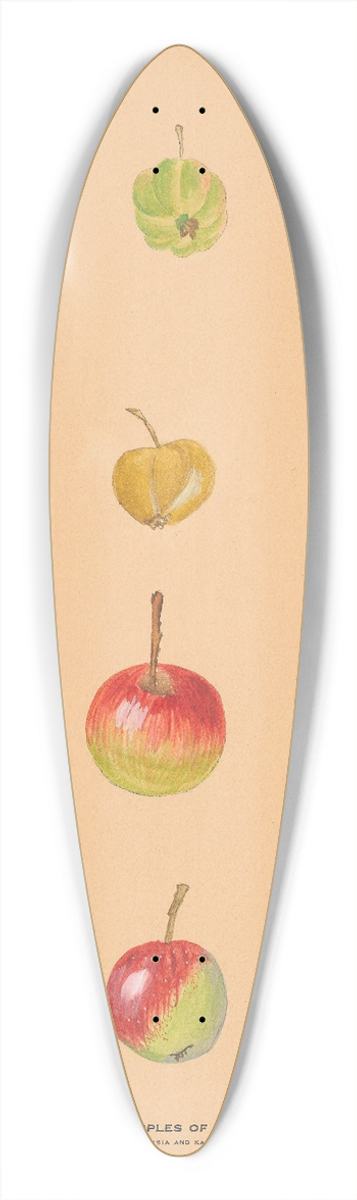 Nikolai Ivanovich Vavilov - The Wild Apples of Middle Asia 39.3 inch art pintail longboard deck