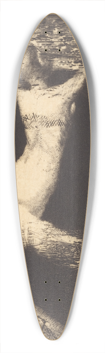 Odilon Redon - Passage dune Ame (Passage of a Spirit) 39.3 inch art pintail longboard deck