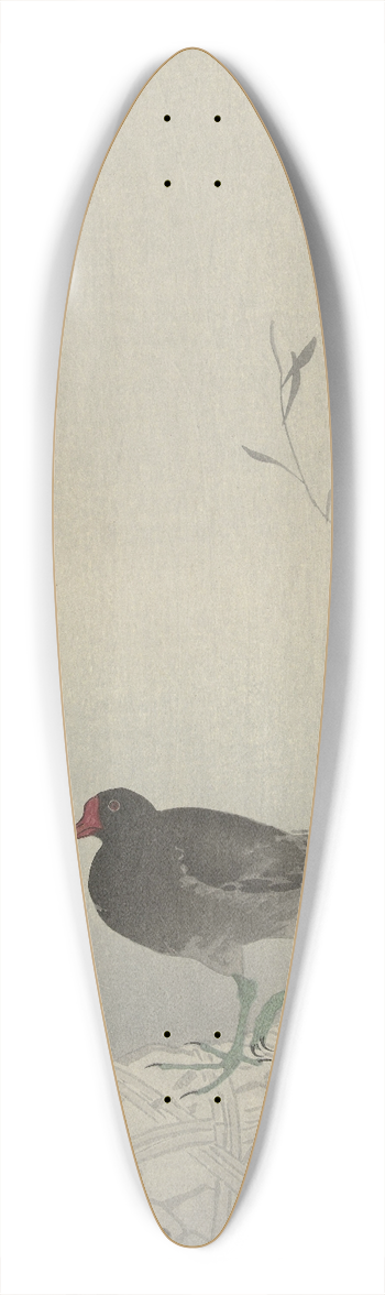 Ohara Koson - Moorhen 39.3 inch art pintail longboard deck