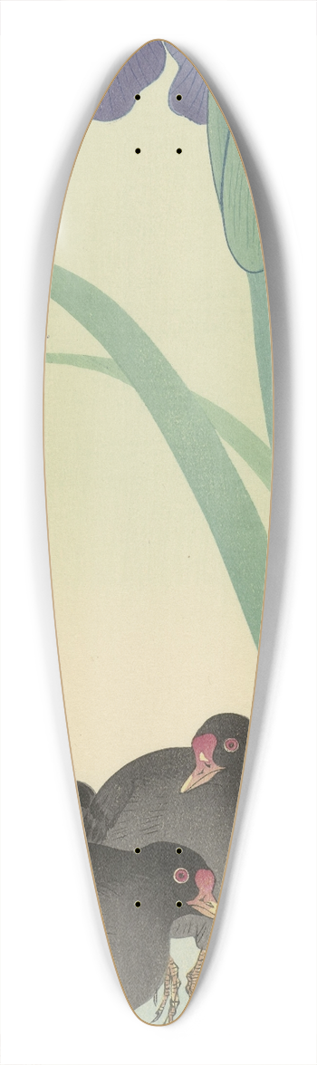 Ohara Koson - Moorhens and iris 39.3 inch art pintail longboard deck