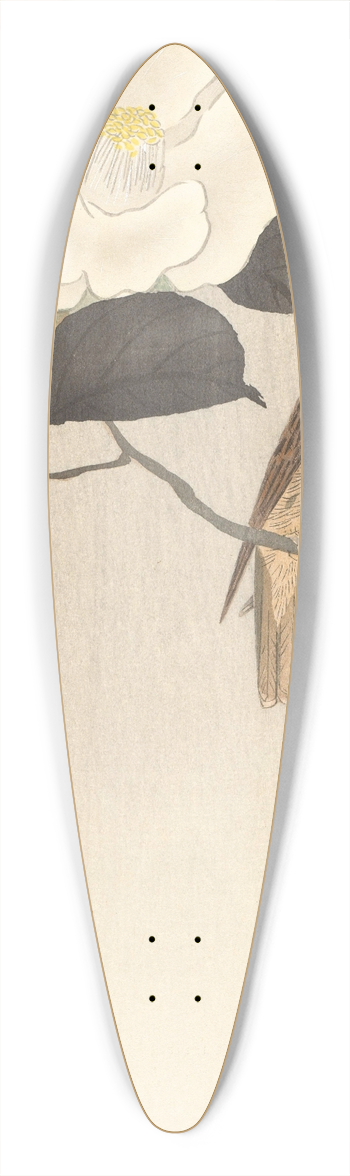 Ohara Koson - Songbird and flowering camellia 39.3 inch art pintail longboard deck