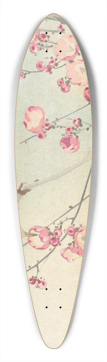 Ohara Koson - Songbird on blossom branch 39.3 inch art pintail longboard deck
