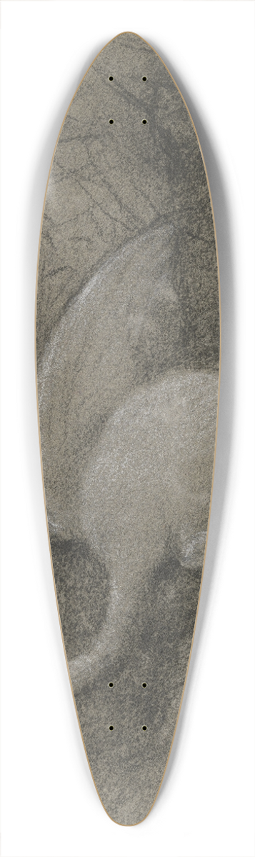 Otto Scholderer - Toter Schwan vor Trauerweide 39.3 inch art pintail longboard deck