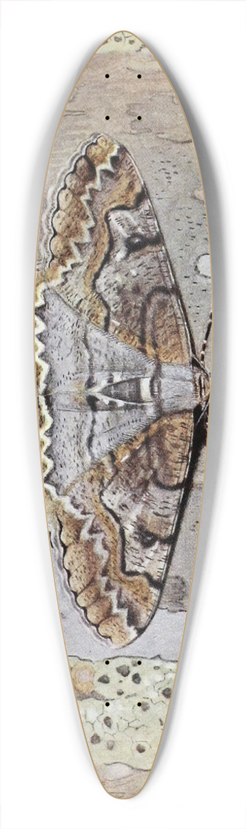 Paul-Andre Robert - La Boarmie Festonne 39.3 inch art pintail longboard deck