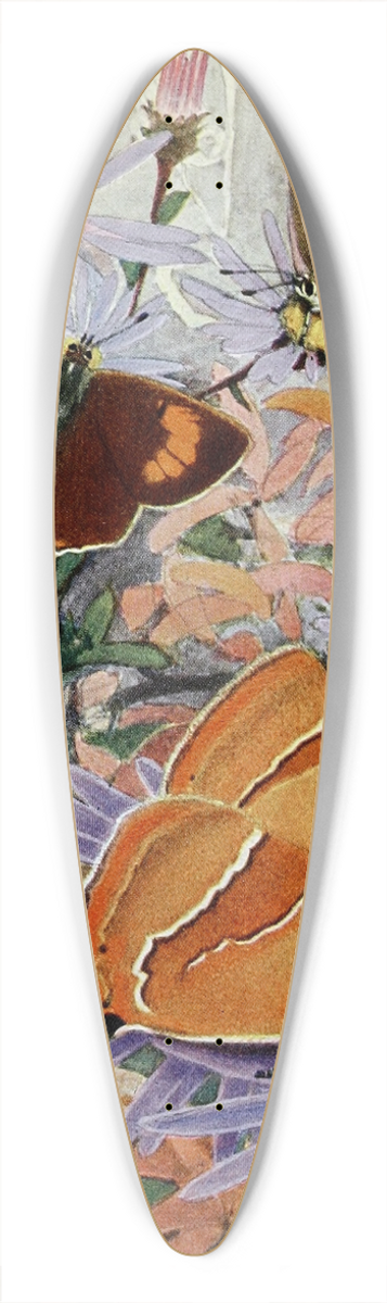 Paul-Andre Robert - La Thcla du Bouleau 39.3 inch art pintail longboard deck