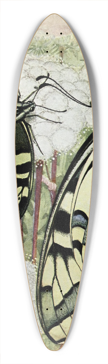 Paul-Andre Robert - Le Machaon 39.3 inch art pintail longboard deck