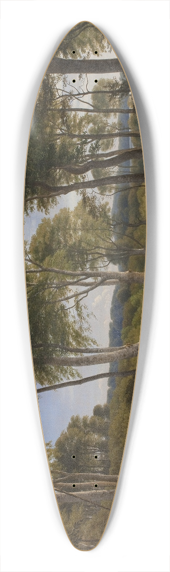 P. C. Skovgaard - Delhoved Wood near Lake Skarre, Zealand. Afternoon Light 39.3 inch art pintail longboard deck