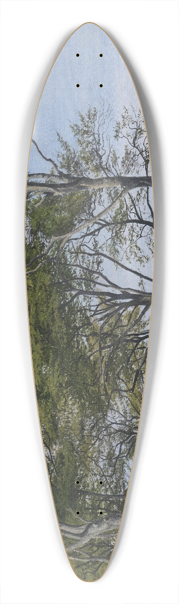 P. C. Skovgaard - View Through Beech Trees Across a Fiord 39.3 inch art pintail longboard deck