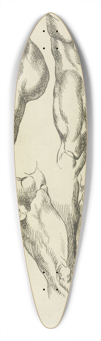 Peter Paul Rubens - Studies of male loins 39.3 inch art pintail longboard deck