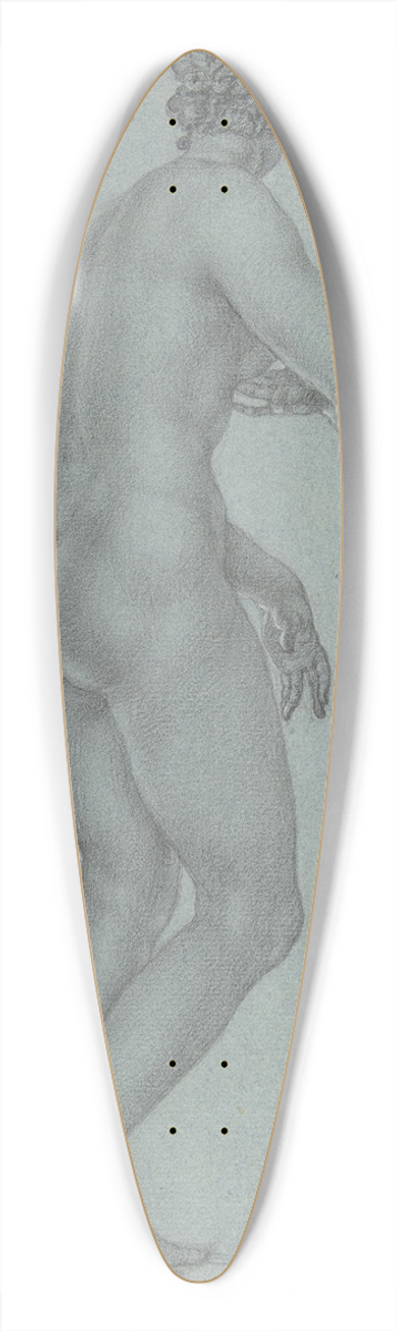 Peter van Lint - Venus de Medici; view from the back 39.3 inch art pintail longboard deck