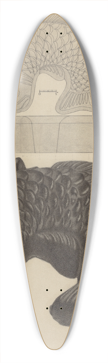 Philip Johnson - Aspic Mold 39.3 inch art pintail longboard deck