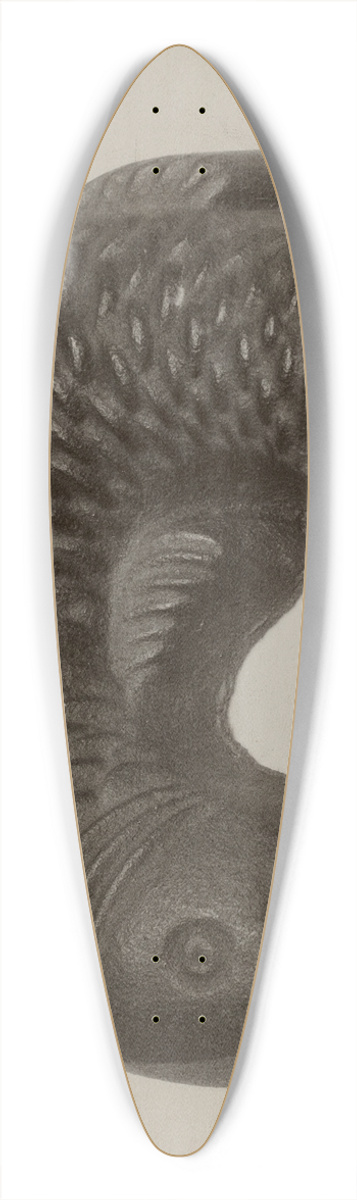 Philip Johnson - Aspic Mold 39.3 inch art pintail longboard deck