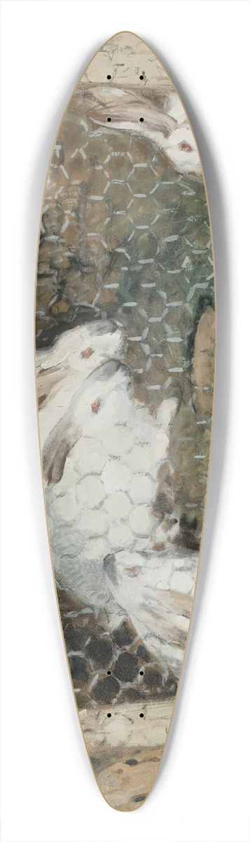 Pierre-Eugne Montzin - Les Lapins 39.3 inch art pintail longboard deck