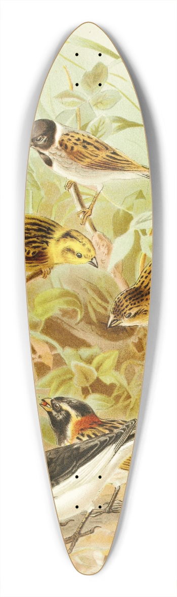 Pierre Jacques Smit - Buntings 39.3 inch art pintail longboard deck