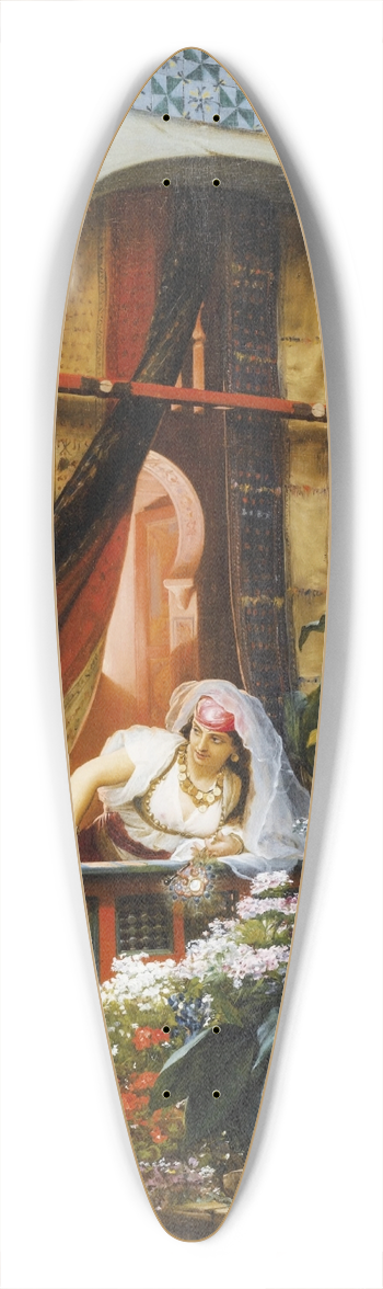 Pierre-Marie Beyle - Le balcon 39.3 inch art pintail longboard deck