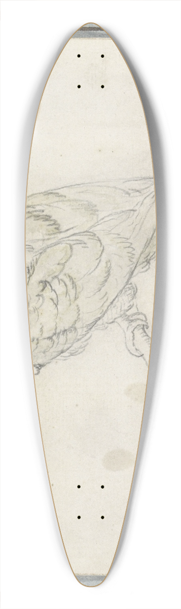 Pieter Casteels III - Papegaai 39.3 inch art pintail longboard deck
