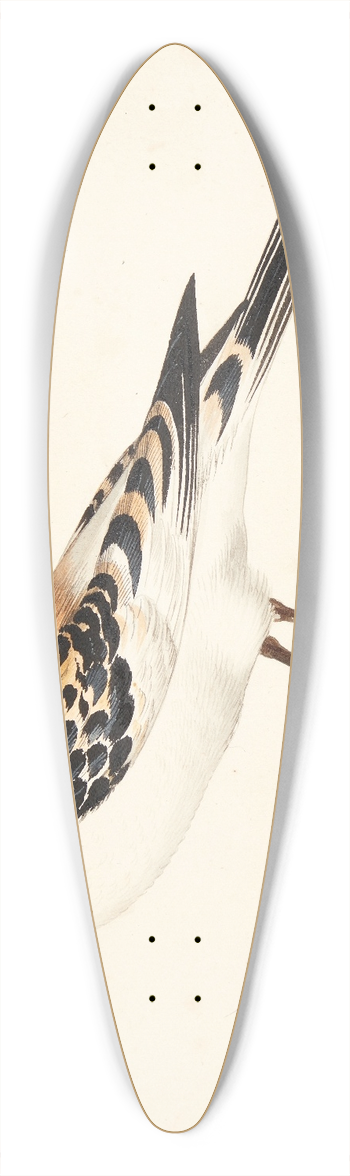 Pieter Holsteijn - En snespurv plectrophenax nivalis 39.3 inch art pintail longboard deck