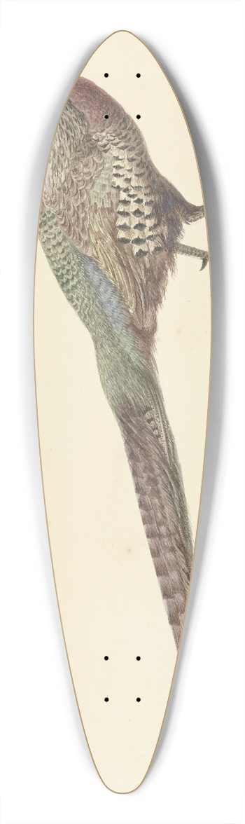 Pieter Pietersz. Barbiers - Fazant 39.3 inch art pintail longboard deck