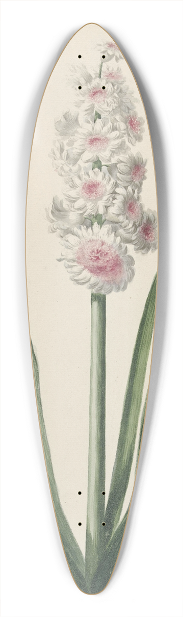 Pieter van Loo - Bloeiende hyacint 39.3 inch art pintail longboard deck