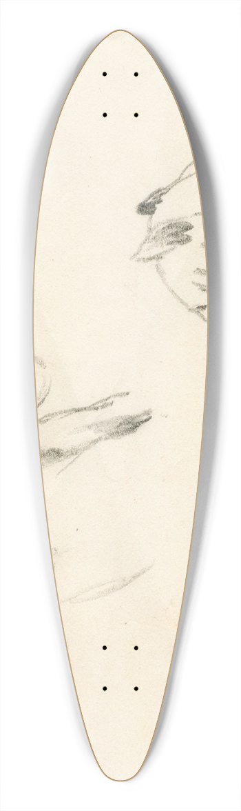 Pieter van Loon - De kop van een leeuwin 39.3 inch art pintail longboard deck