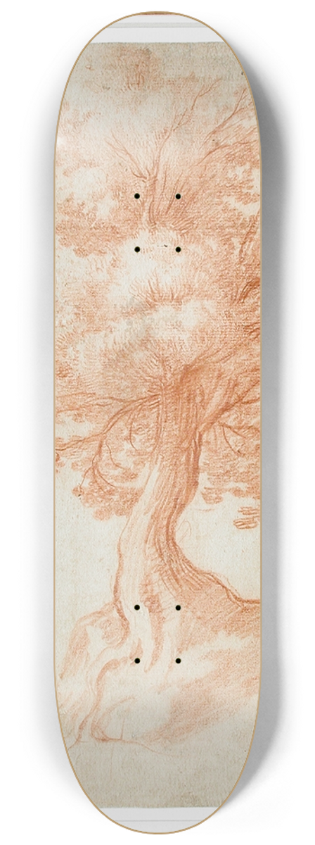 Cristofano Allori - Study of a Tree 8.25 inch art skate deck